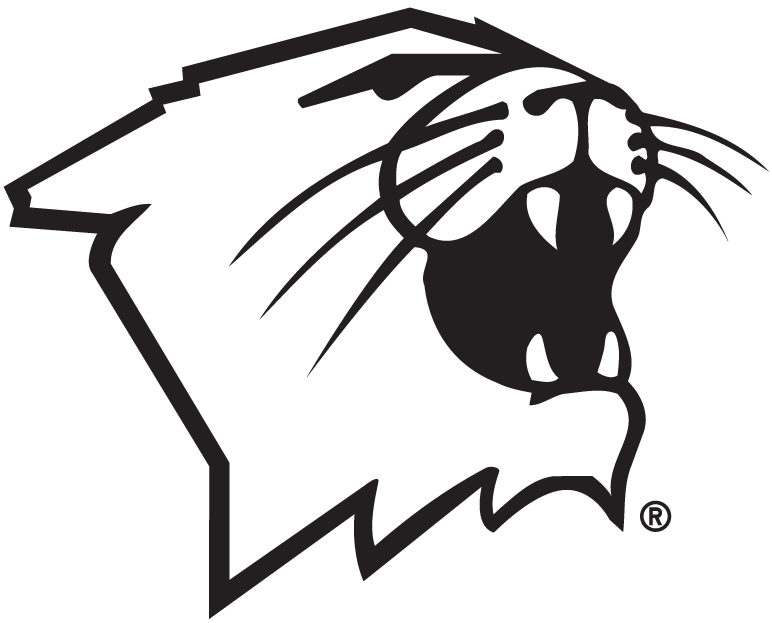 Northwestern Wildcats 1981-Pres Partial Logo v2 diy fabric transfer